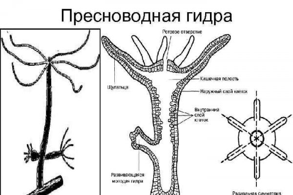 Kraken дарк магазин